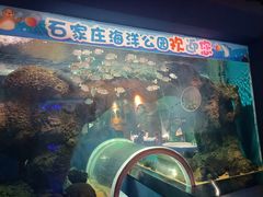 -石家庄海洋公园