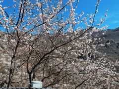 -妙峰山风景名胜区