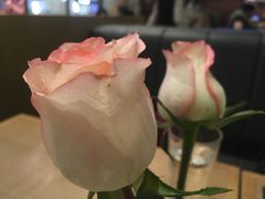 -MYLK意式小厨(熙地港店)