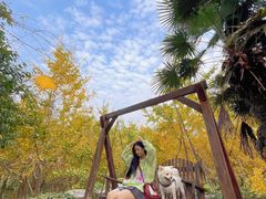 -千年银杏谷文化旅游区