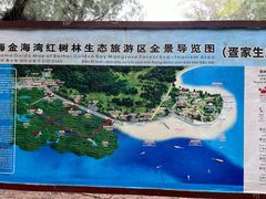 -北海金海湾红树林生态旅游区
