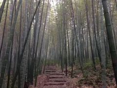 -石塘人家