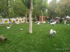 -九十九顶毡房(阜石路店)