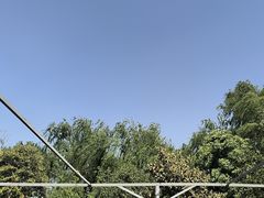-名骏车业(园区星明店)