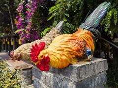 -土灶人家柴火鸡(都江堰店)