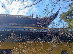 -西园戒幢律寺