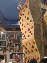 -卡通尼·Safari非洲探索乐园·生日会(金桥国际商业广场店)