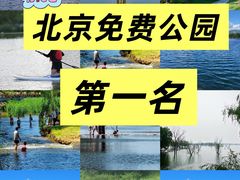 -华府九号海鲜烧烤大排档(龙域店)