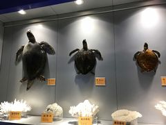 -福州罗源湾海洋世界旅游区