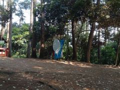 -三门江国家森林公园