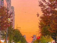 -中国石化长江道加油站