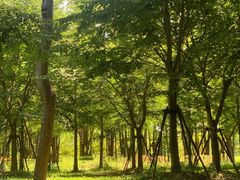 -上海浦江郊野公园-5号停车场