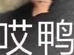 -三里屯土灶炖公鸡地锅鸡(江东店)