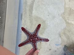 -上海海洋水族馆