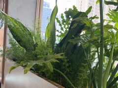 -超港·蛋糕面包(龙河路店)