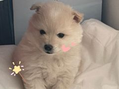 -太原茂业天地购物中心