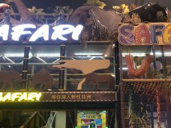 -卡通尼·Safari非洲探索乐园·生日会(金桥国际商业广场店)