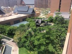 iphone_upload_pic-三亚湾红树林度假世界(木棉酒店)