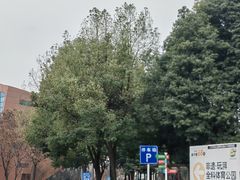 -国际非物质文化遗产博览园