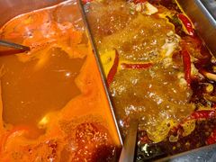 美蛙鸳鸯锅-重庆高老九火锅(文峰广场店)