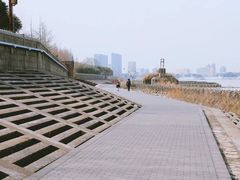 -上海滨江森林公园