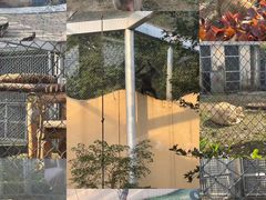 -合肥野生动物园