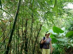 -南通洲际绿博园