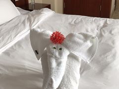 -三亚亚龙湾雅高铂尔曼别墅度假酒店