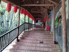 -鲤鱼塘农家山庄