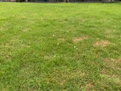 -浙江大学(玉泉校区)