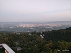 -大金鹰园