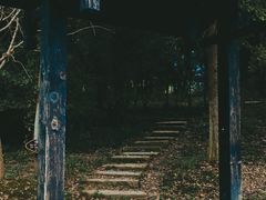 -梁鸿国家湿地公园