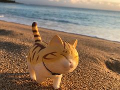 -白沙湾海滩