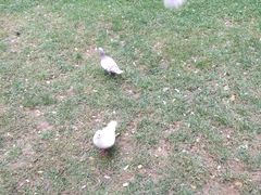 -西安曲江寒窑遗址公园