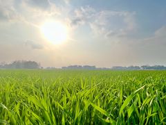 -中国天府农业博览园