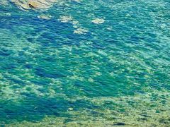 -大连老虎滩海洋公园