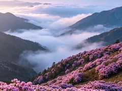 -木兰云雾山