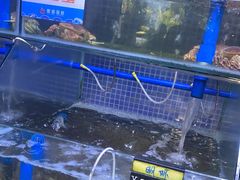-蟹老板的海鲜