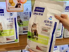 -可蒙动物医院·猫科·骨科中心(首义路店)