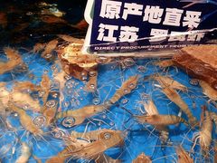 -亚马逊蒸汽活海鲜自助(LCM置汇旭辉广场店)