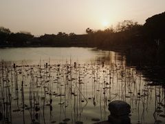 -江心屿景区