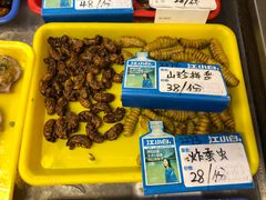 -大京园海鲜烧烤(东城路店)