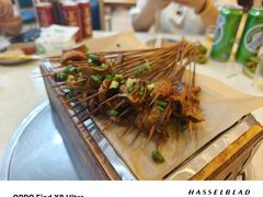 -晓靖轩烧烤(沙河风情店)