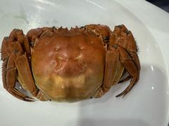 -小海丁