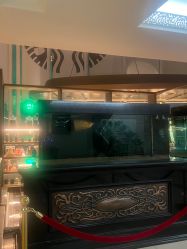 -Oasis Beauty水磨坊科技美肤中心