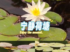 -午潮山国家森林公园