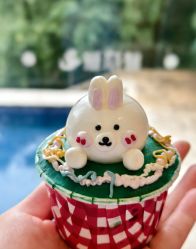 -爱丽馨御景月子中心