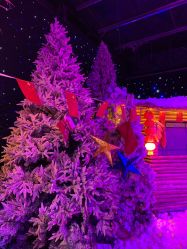 -圣名游乐城冰雪大世界