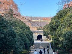 -灵谷景区