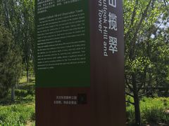 -东郊湿地公园